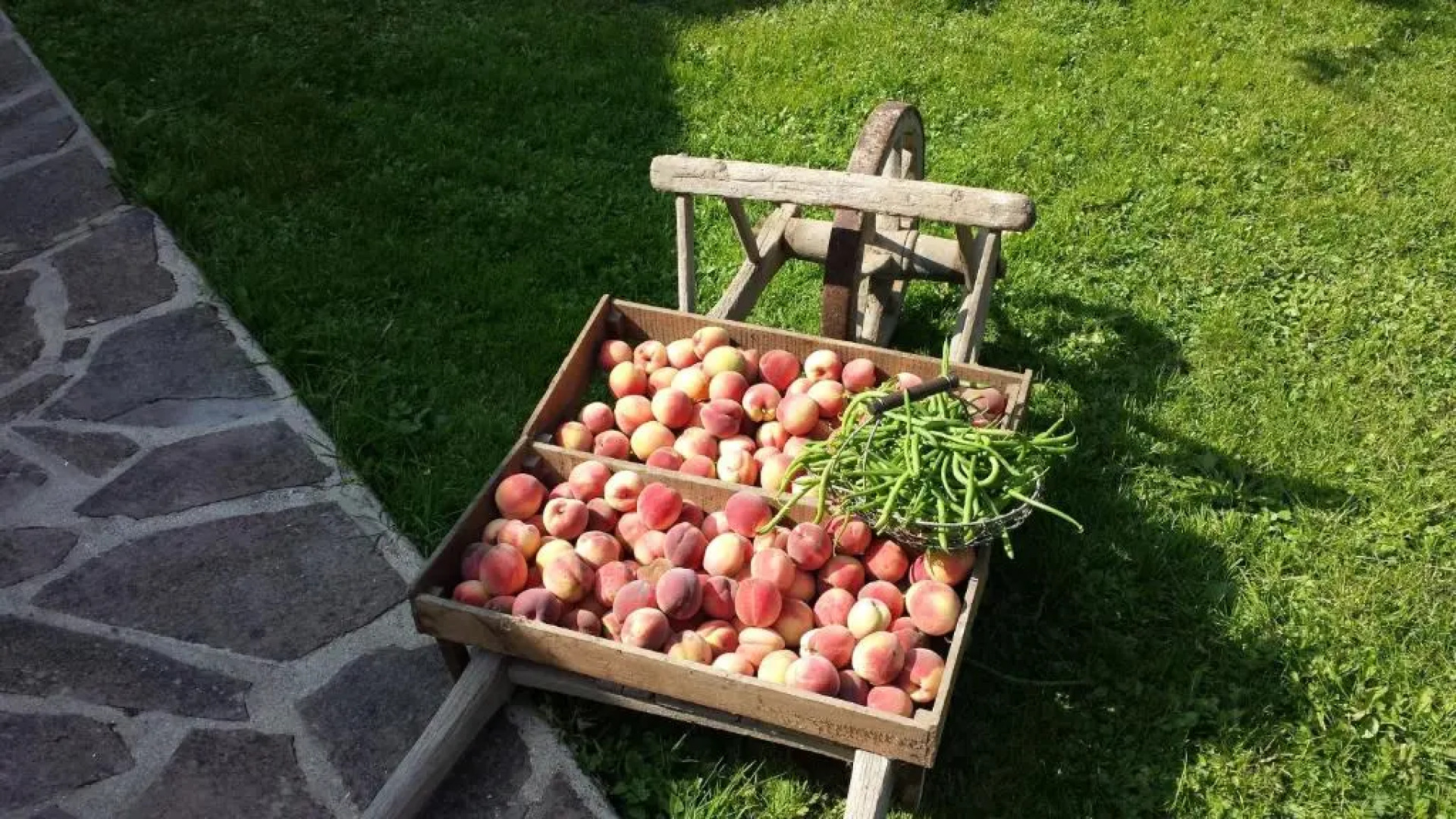 Les Jardins de la Tuilerie