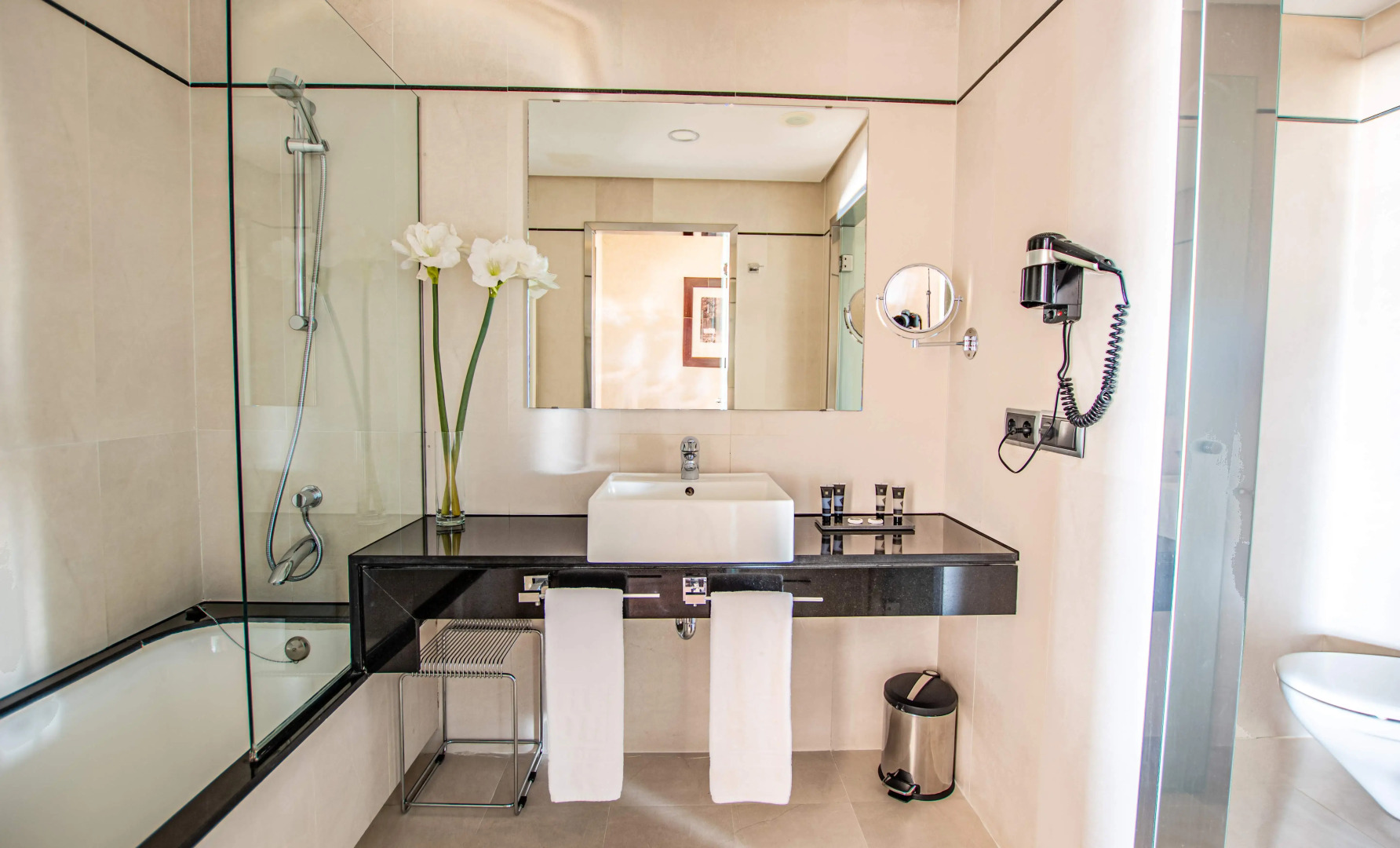 Hotel Andalucia Center