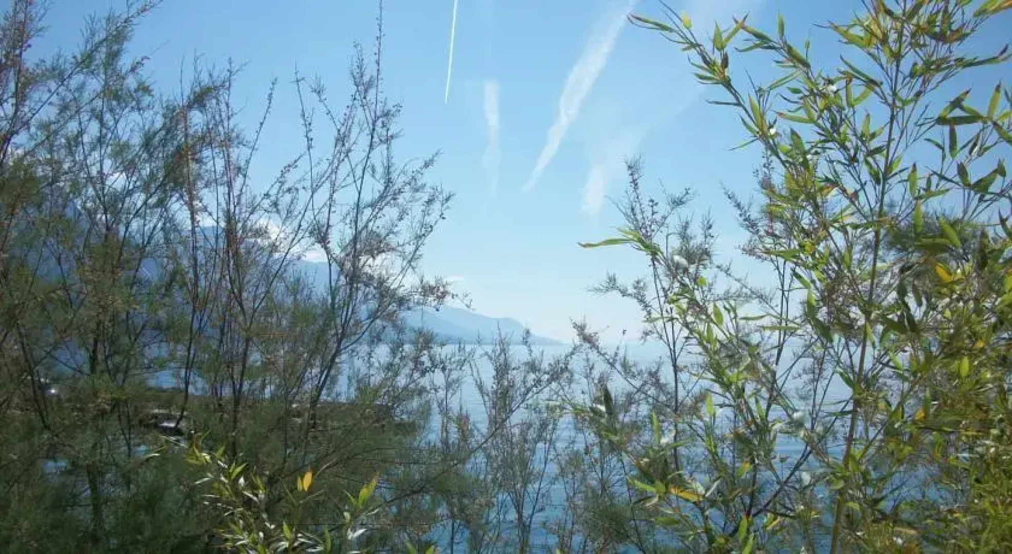 Apartment Beach House