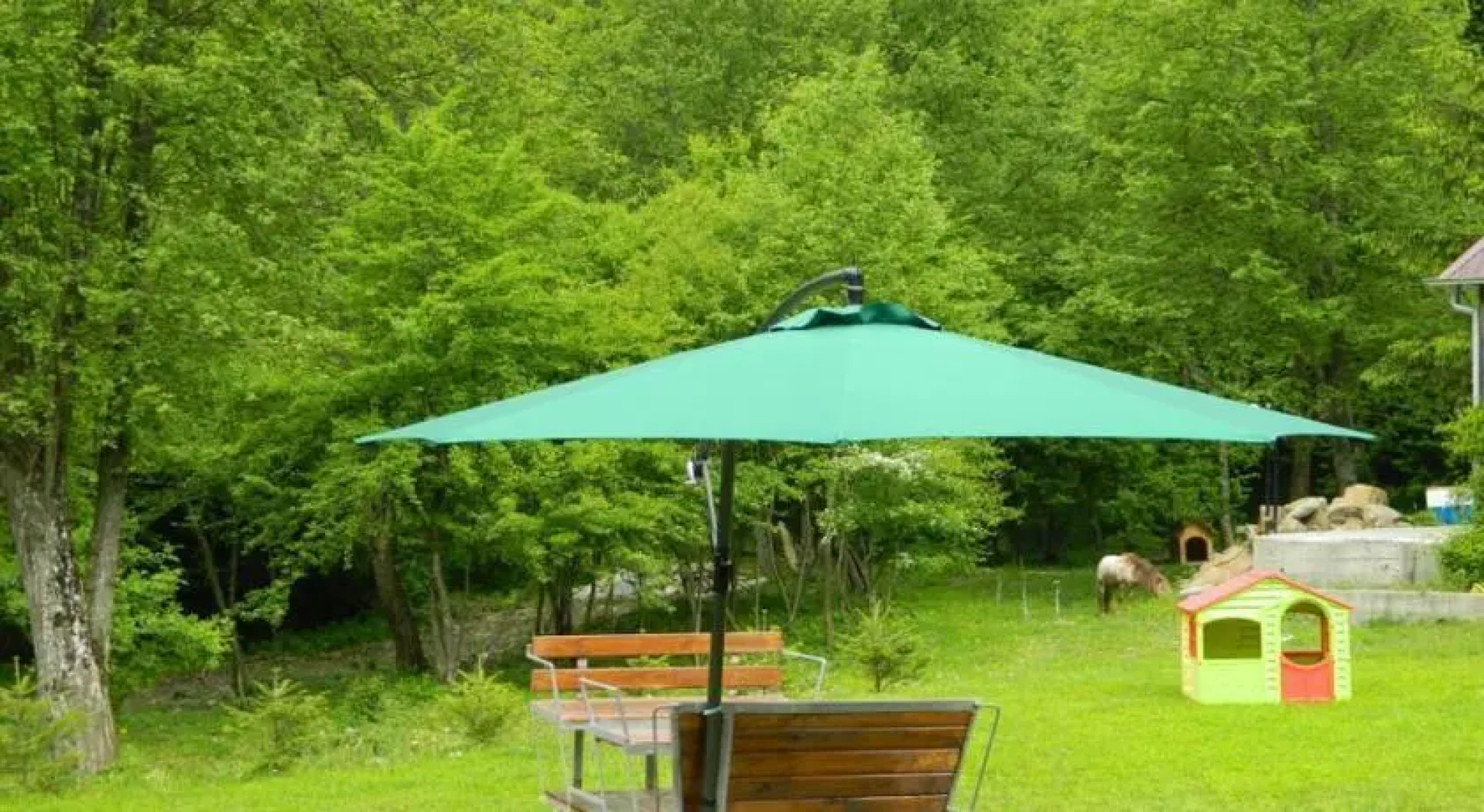 Pension Valea Negrasului