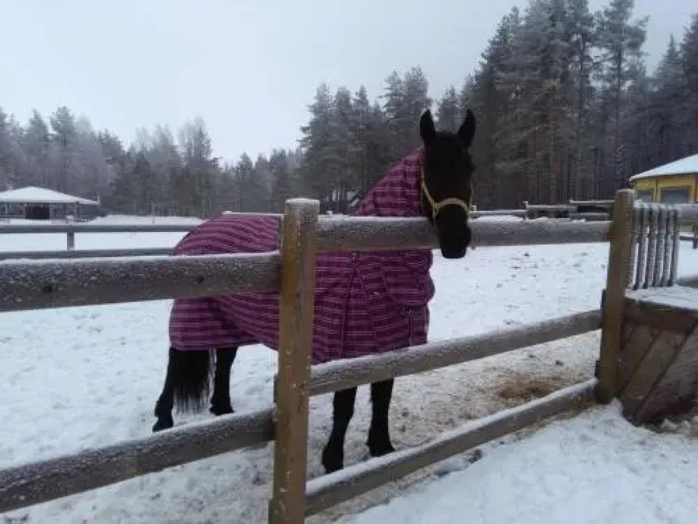 Guest house Dlya Gostey