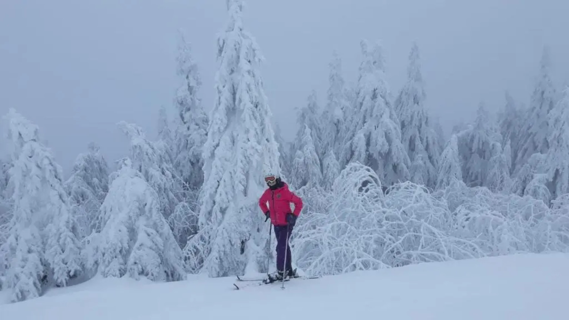 Apartments - Lehmanns Ferienwohnungen