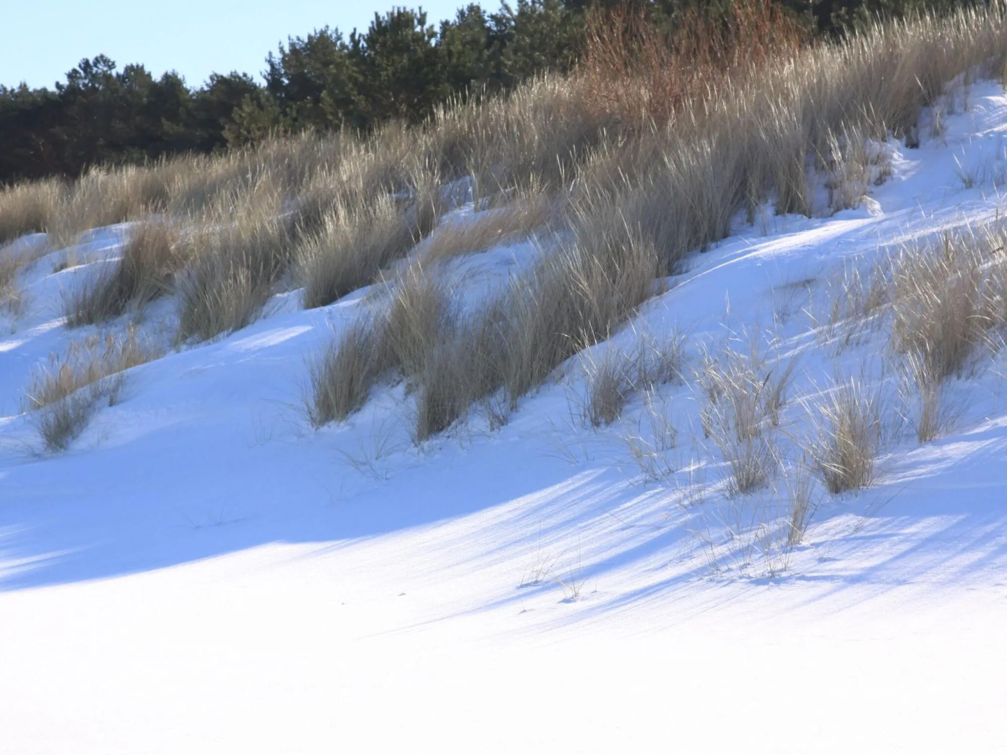 Semi-detached house Dünenhaus I, Trassenheide