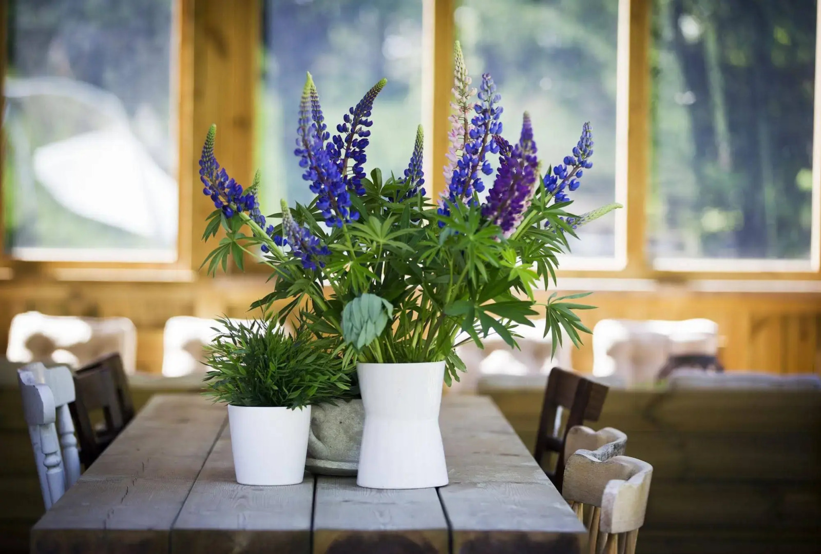 Guesthouse Eleven Hotel