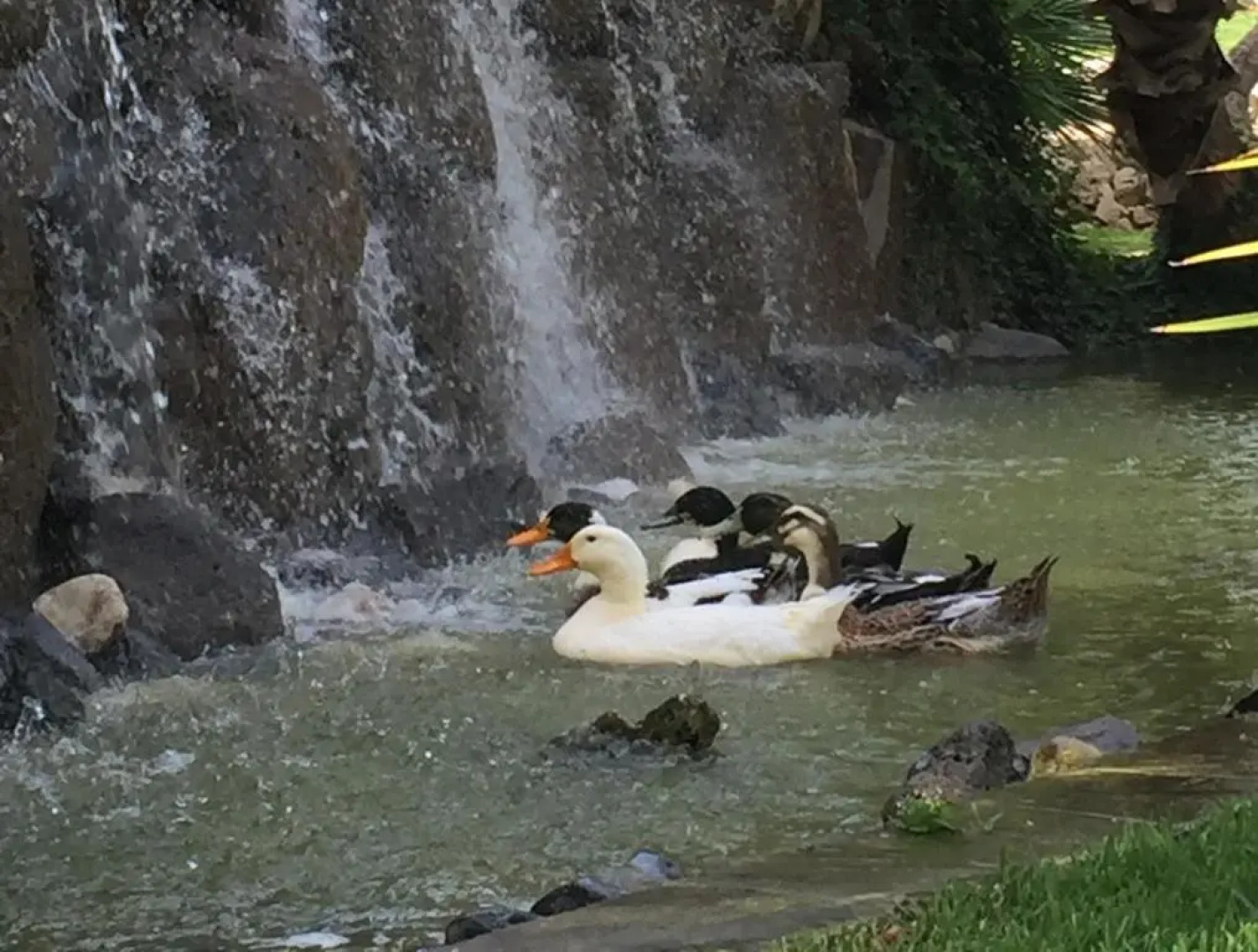Villa Giulia - Sicilian Luxury Garden