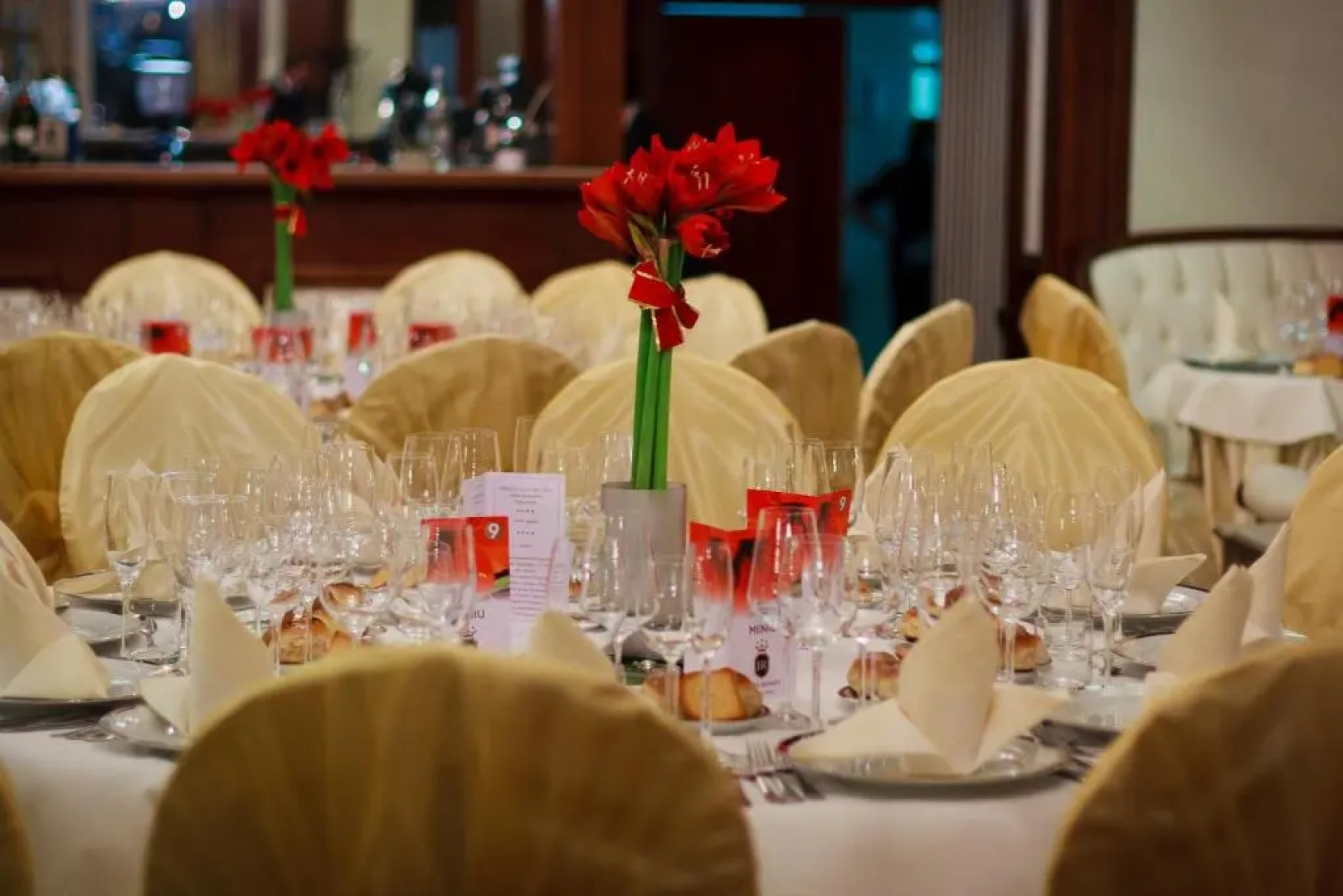 Hotel Roman by Dumbrava