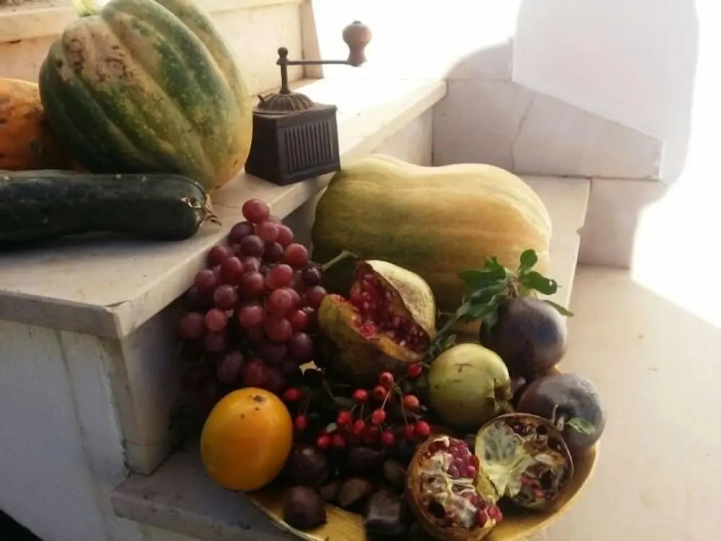 Agriturismo Regno di Marzagaglia