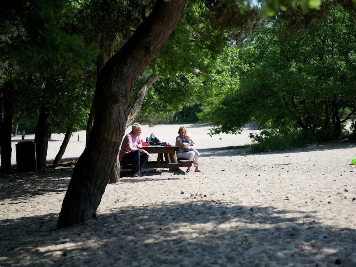 Luxury Villa in De Pier With Sauna