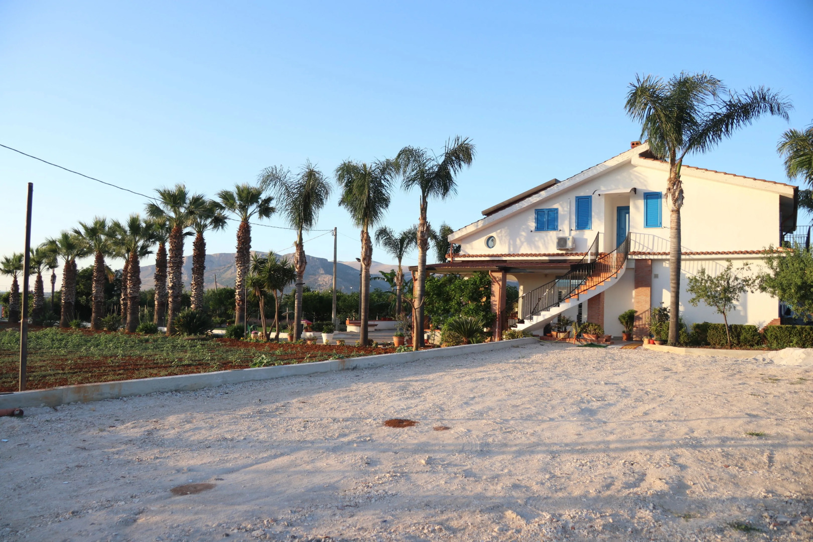 B&B Menta & Peperoncino