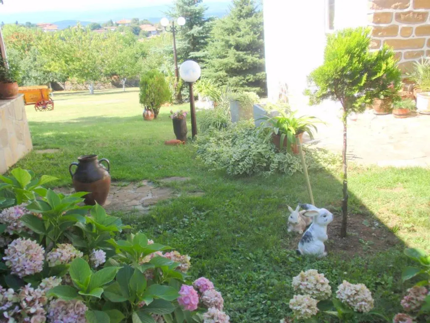 Guest House Debar