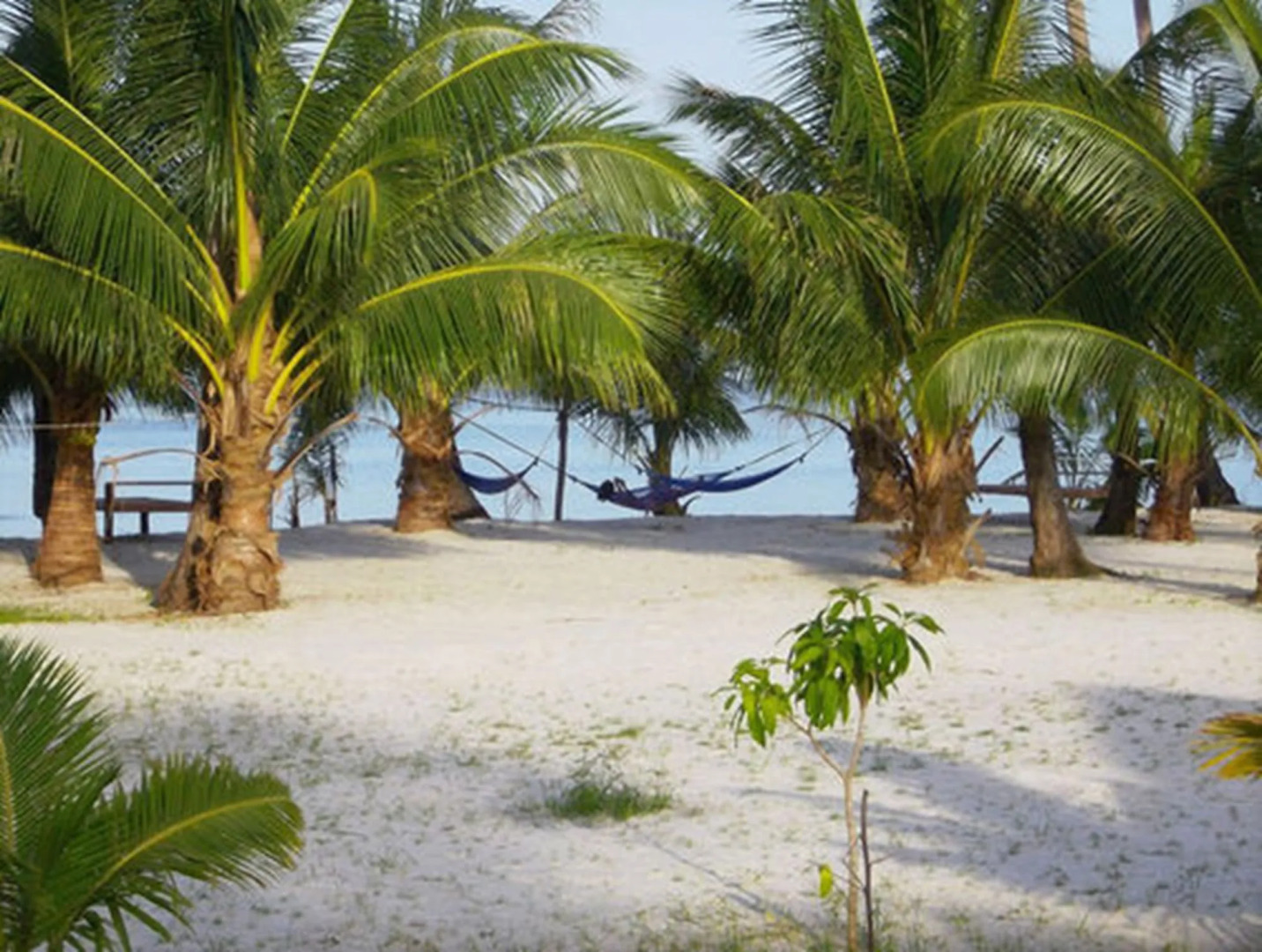 Palm Beach Bungalow Resort