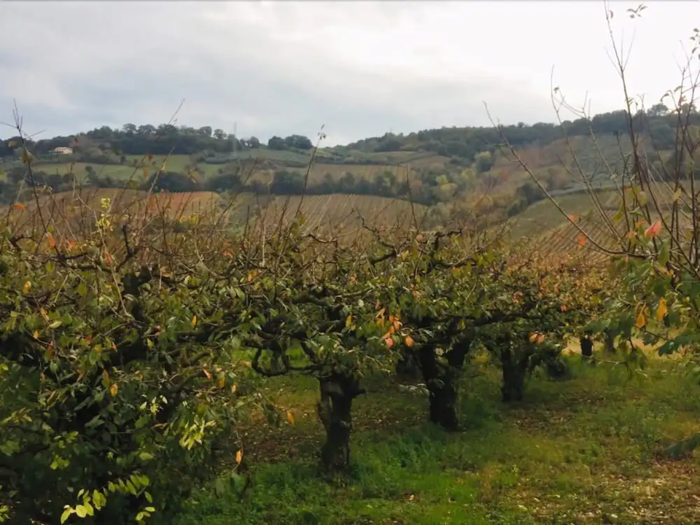 Yogalujah Holistic B&B