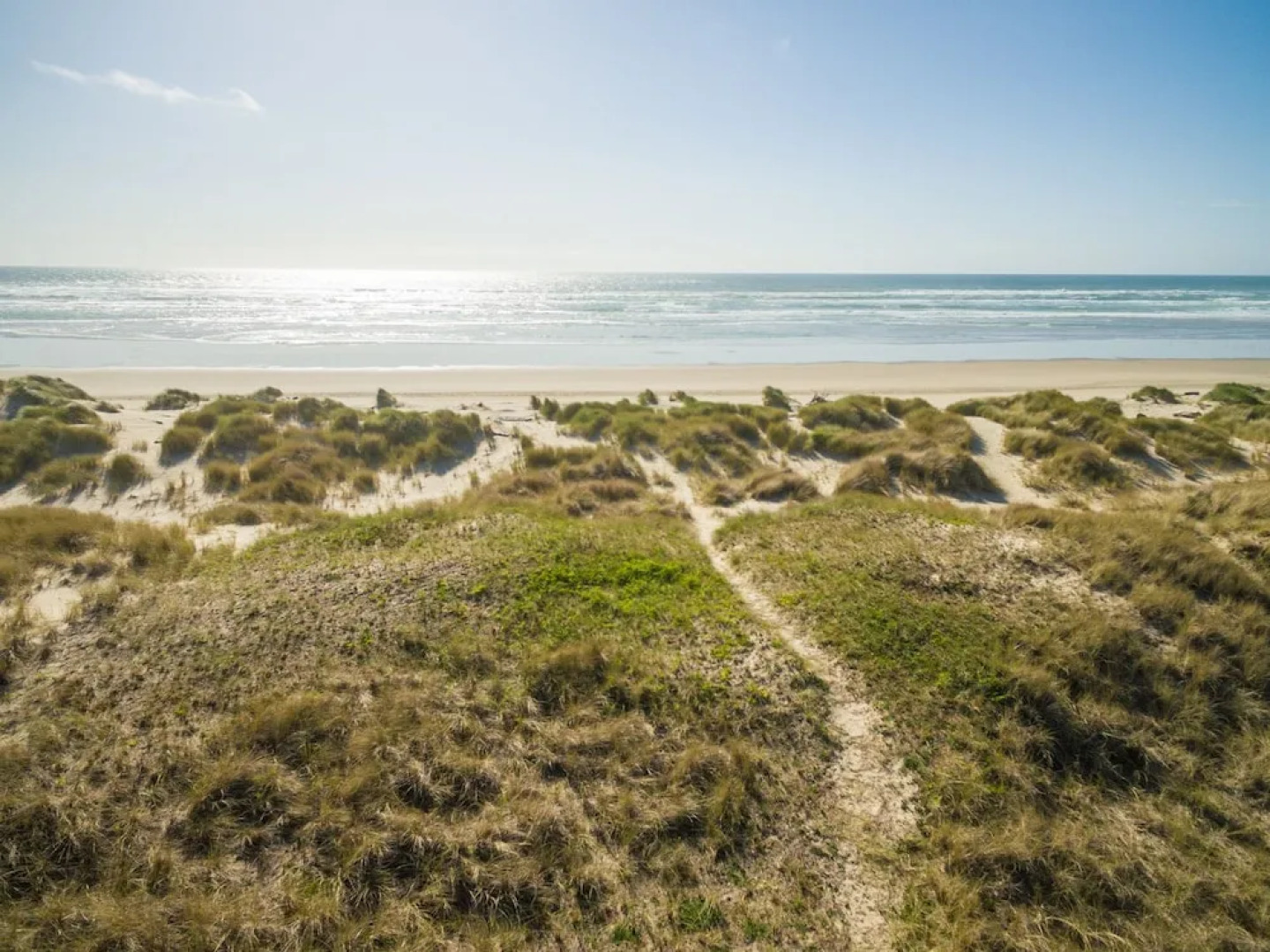 Daly's Oceanfront House