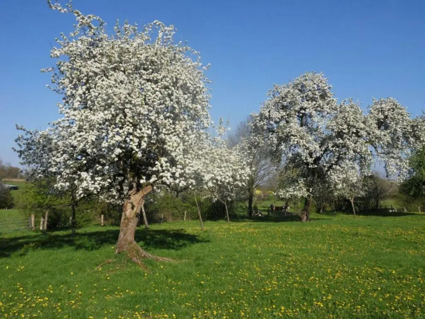 Gîte la Baroche-Sous-Lucé, 3 Pièces, 5 Personnes - Fr-1-497-7