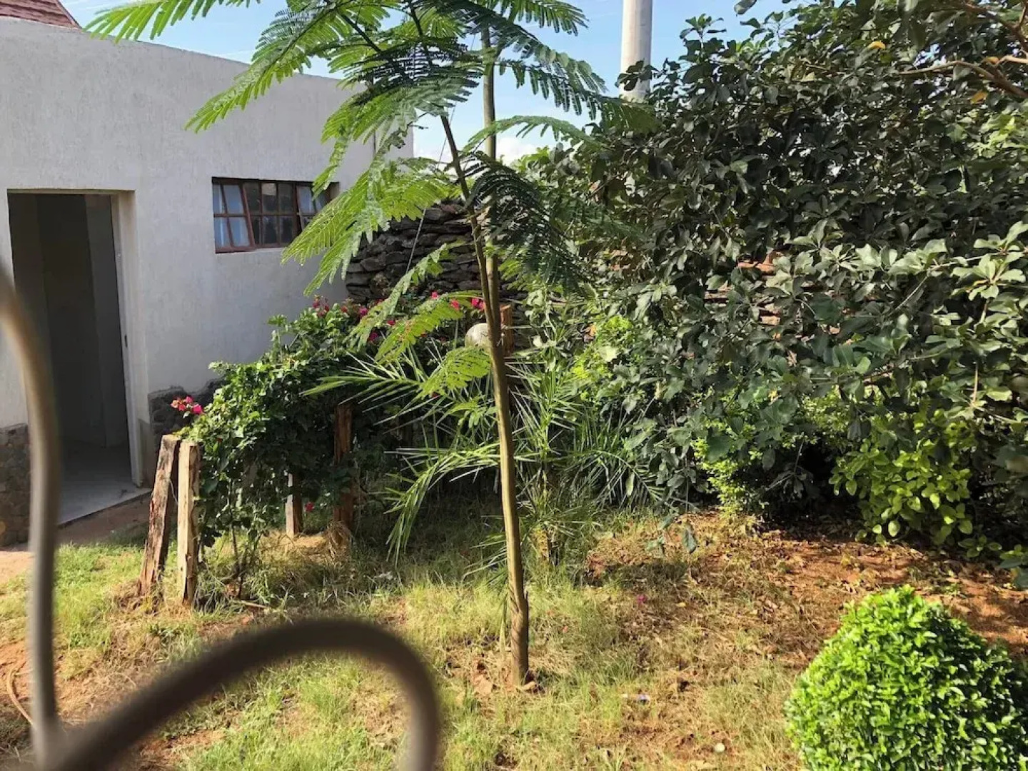 Royal Doves Garden Lake Baringo