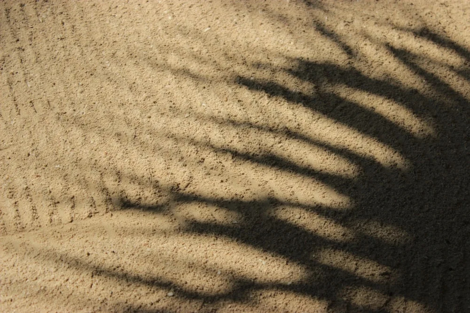 Tierra Mia Hotel Boutique