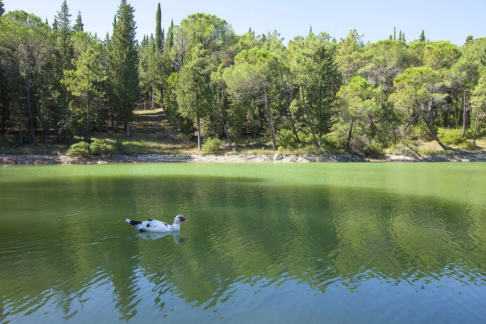 Farm House La Presura