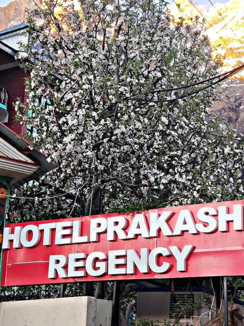 Hotel Prakash Regency Sangla