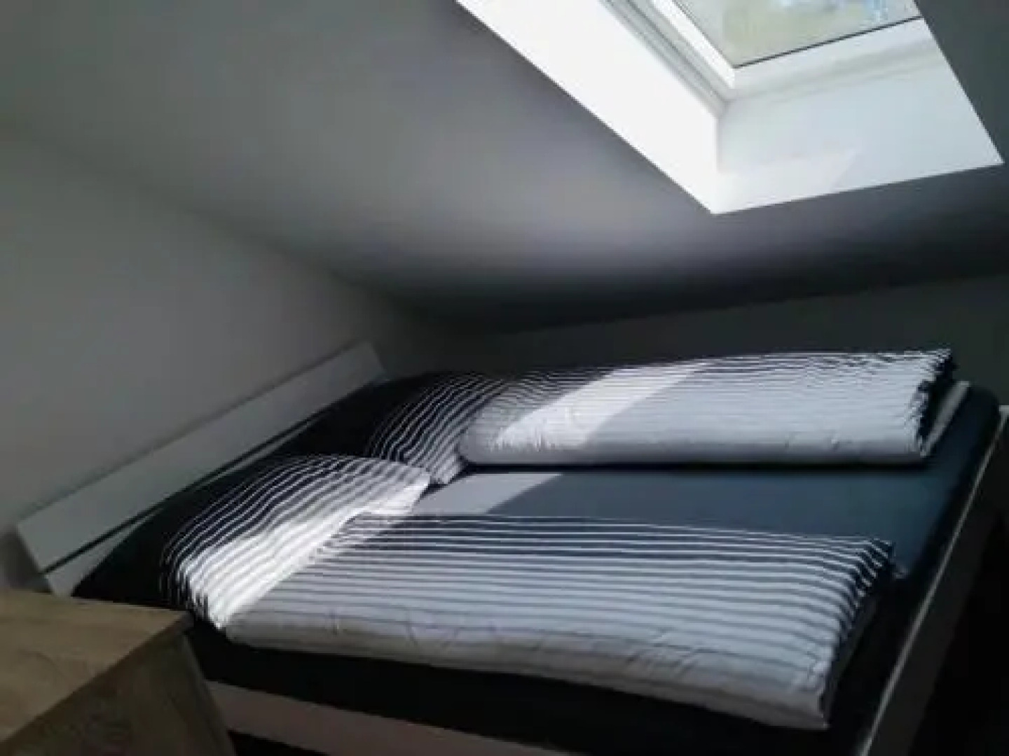 Moderne Wohnung im Grünen