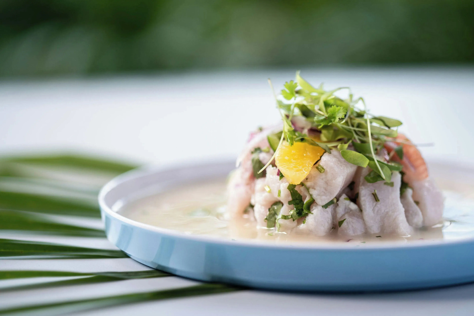 The Belgrove Resort & Spa, West Palm Beach, Autograph Collection