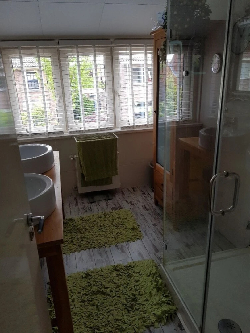 Impeccable 4-bed House in Castricum Butterfly