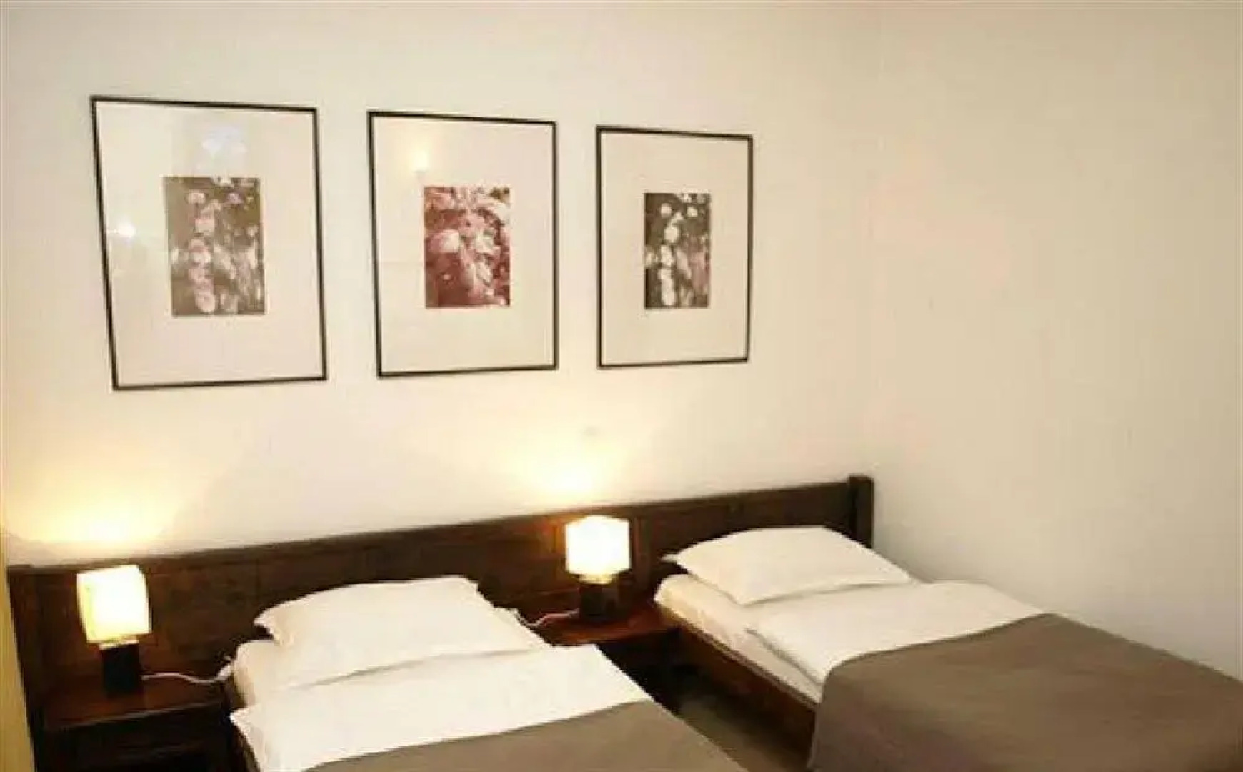 Vila Transylvanian Inn