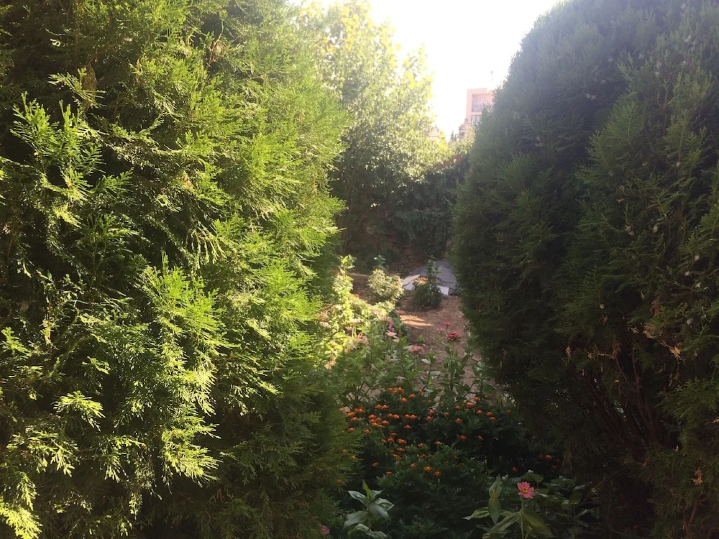 Montenegro central point