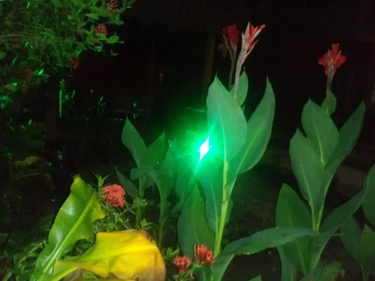 Pousada Luar de Monte Cristo