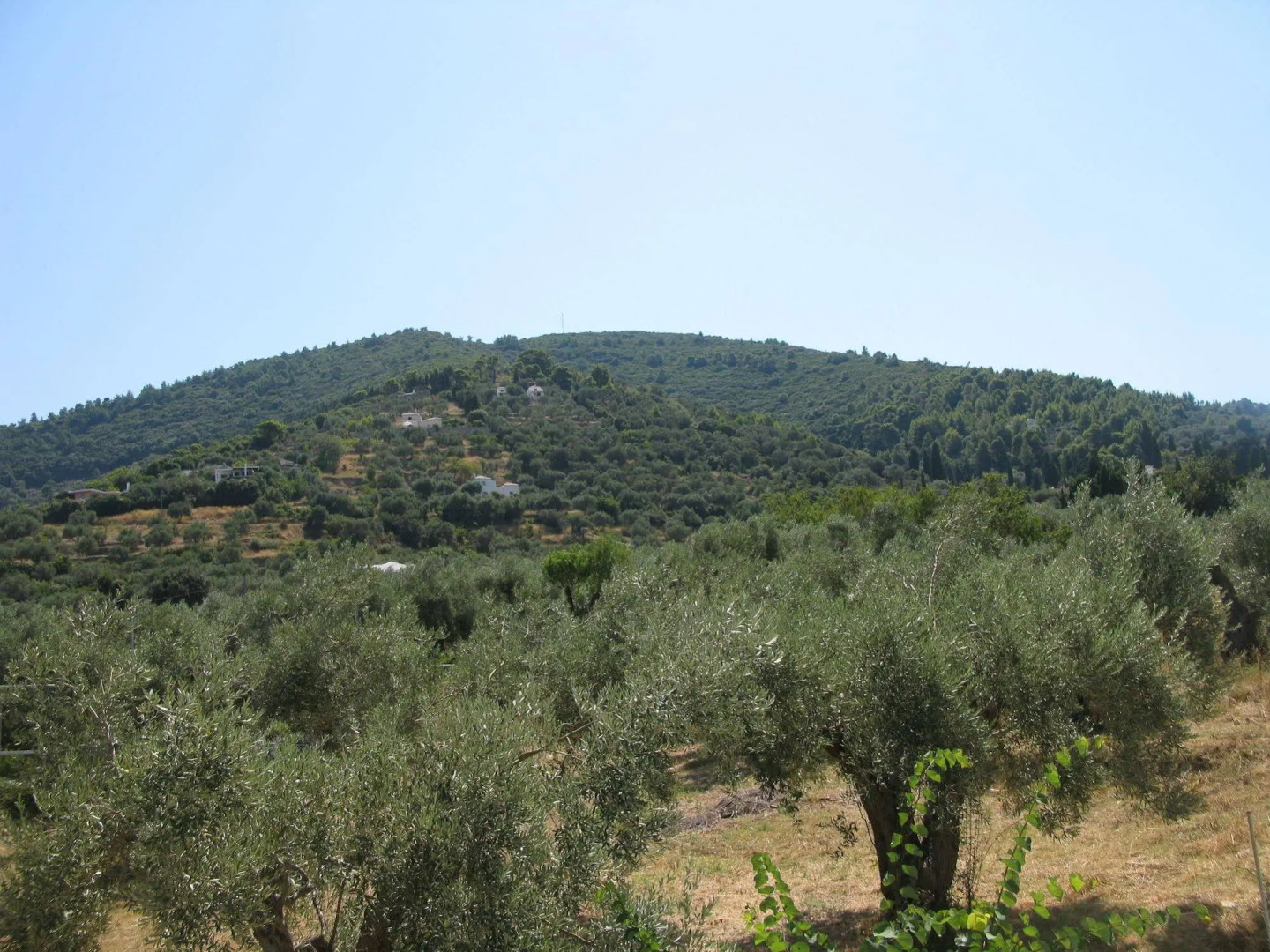 Hotel Prince Stafilos