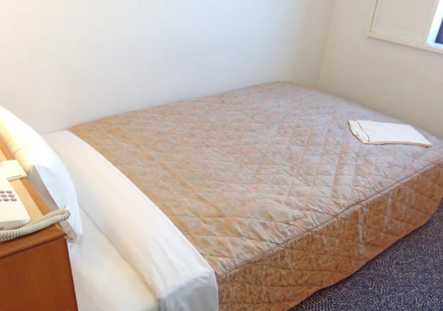 Kawasaki Green Plaza Hotel