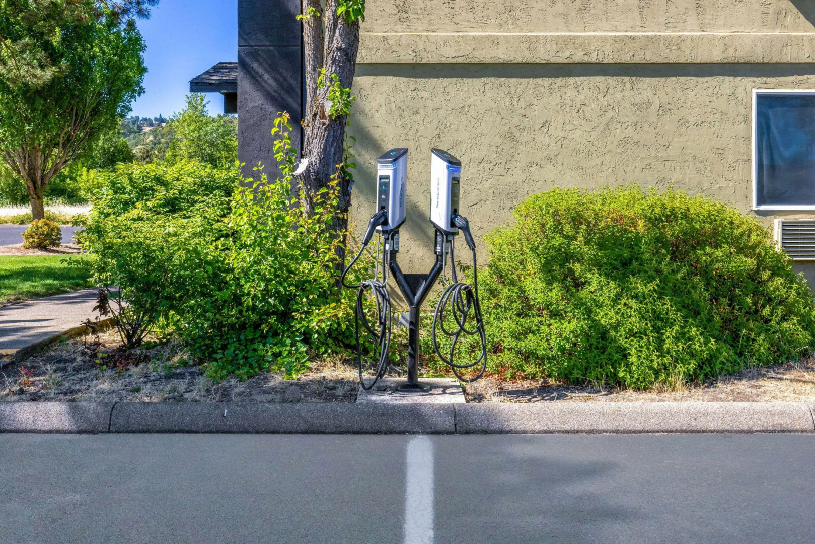 Super 8 by Wyndham Roseburg