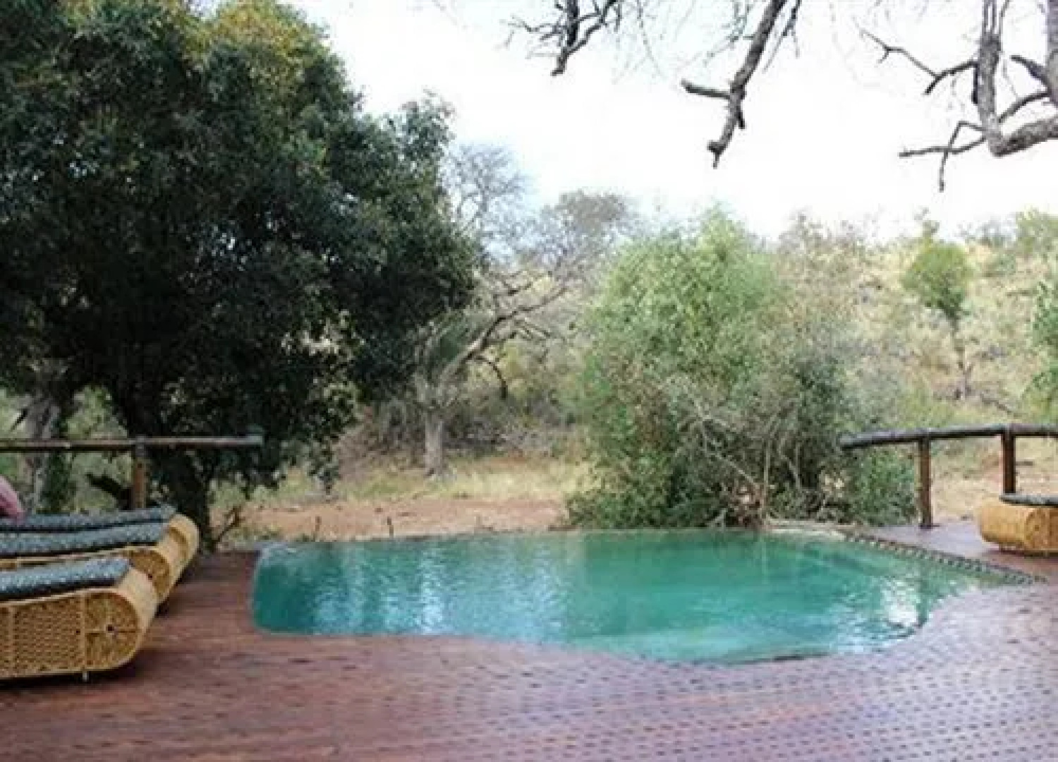 Tuningi Safari Lodge