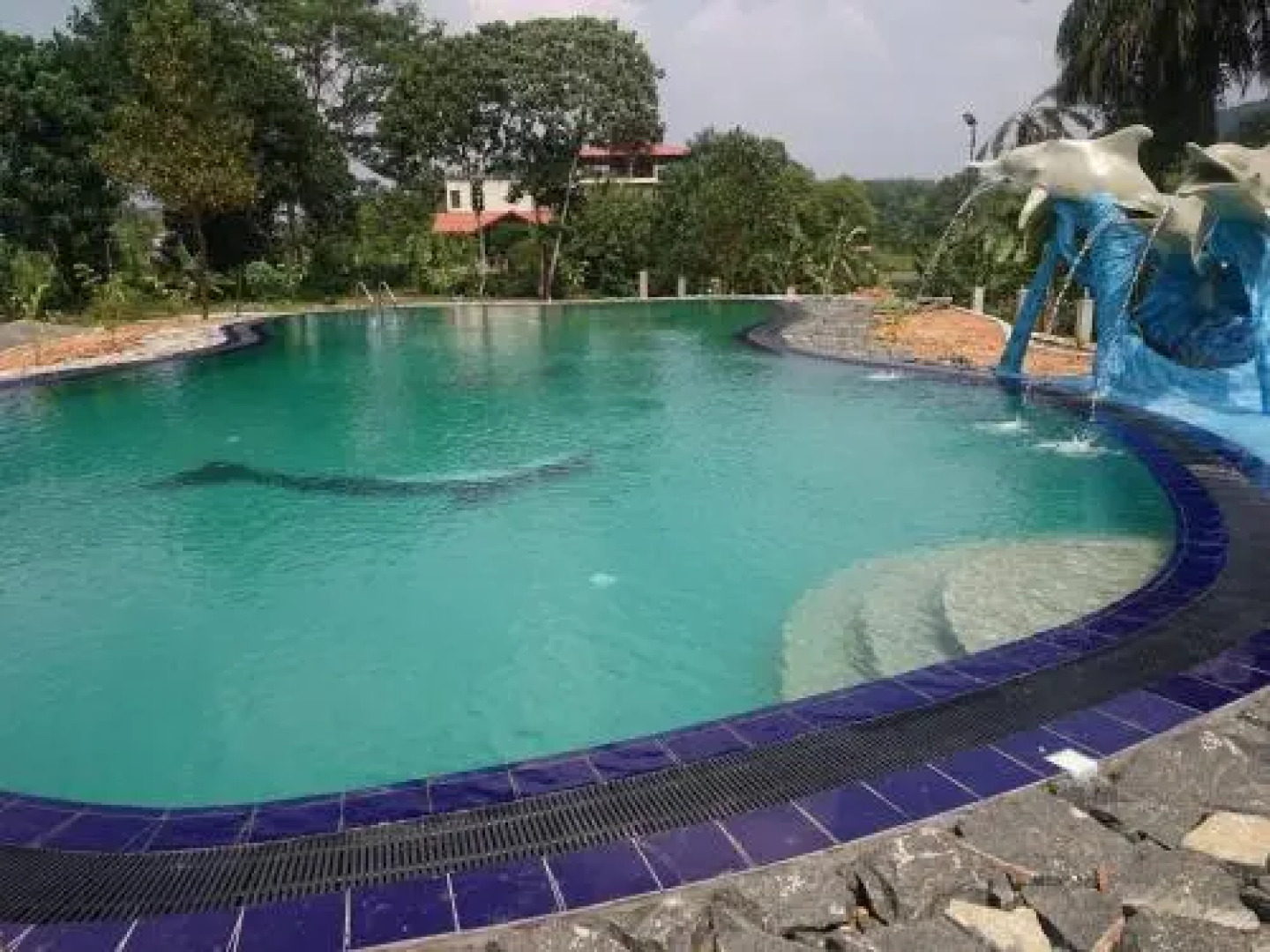 Manikgoda Tea Paradise