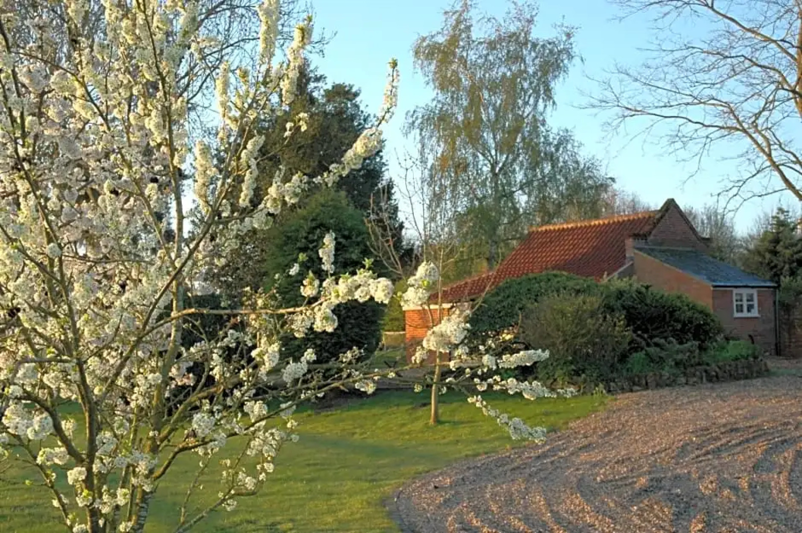 Field Cottage Bed and Breakfast