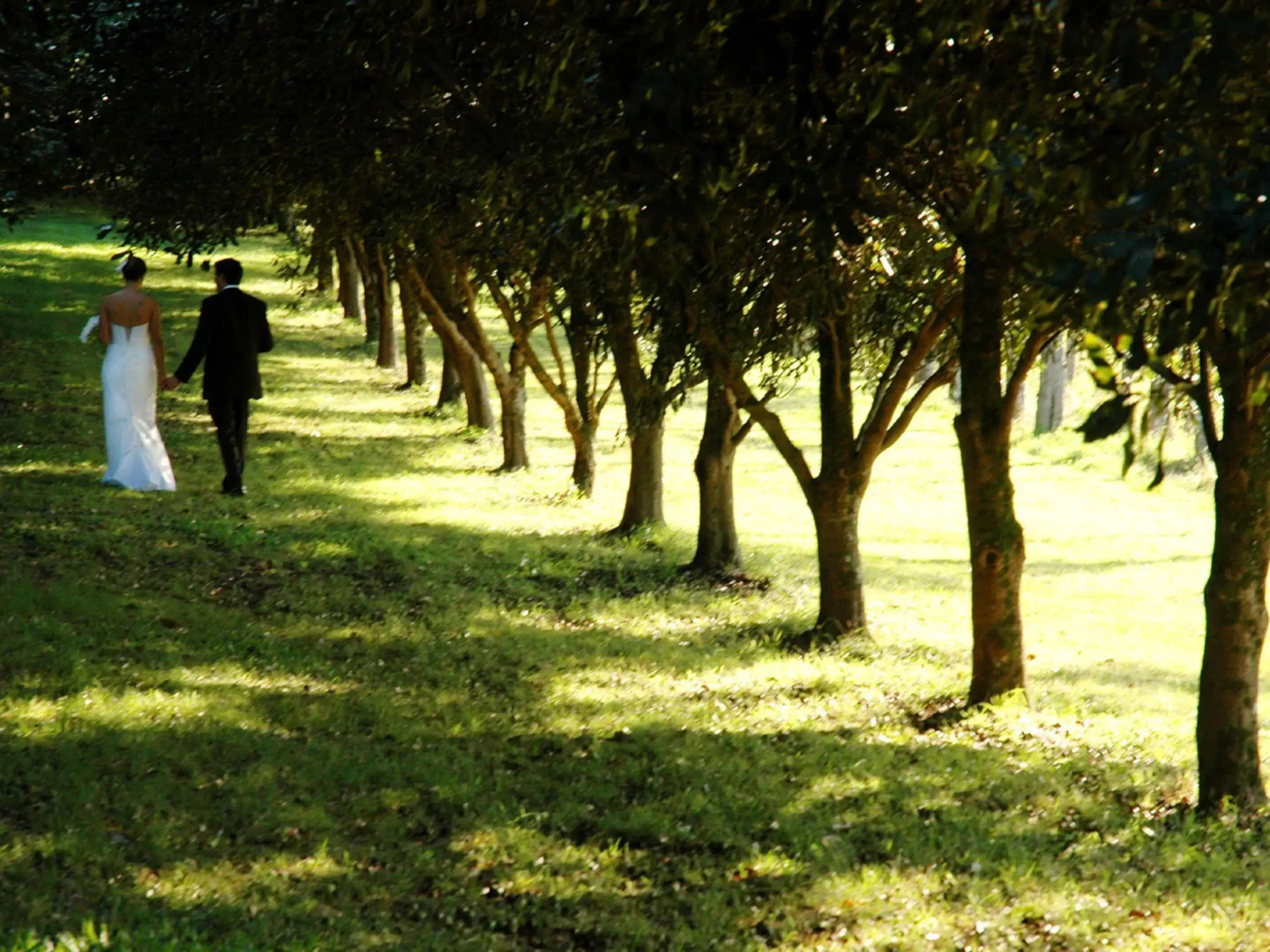 Summerhills Retreat Byron Bay