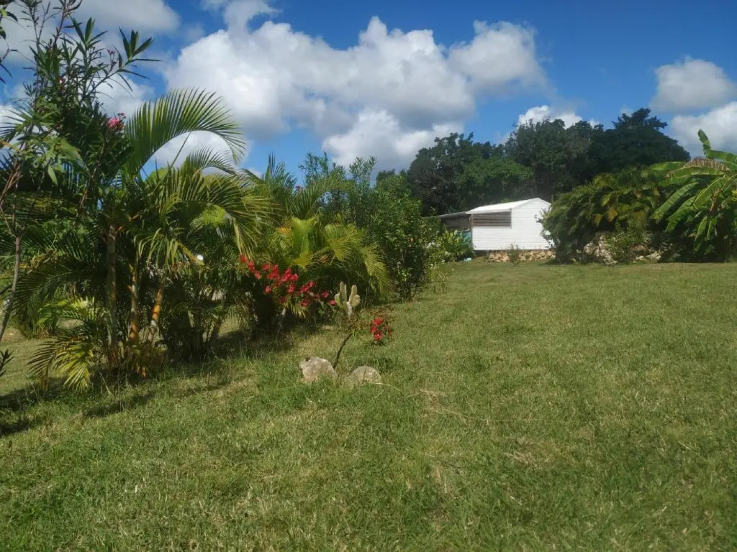 Vanille Et Vahine Fr2pf8al