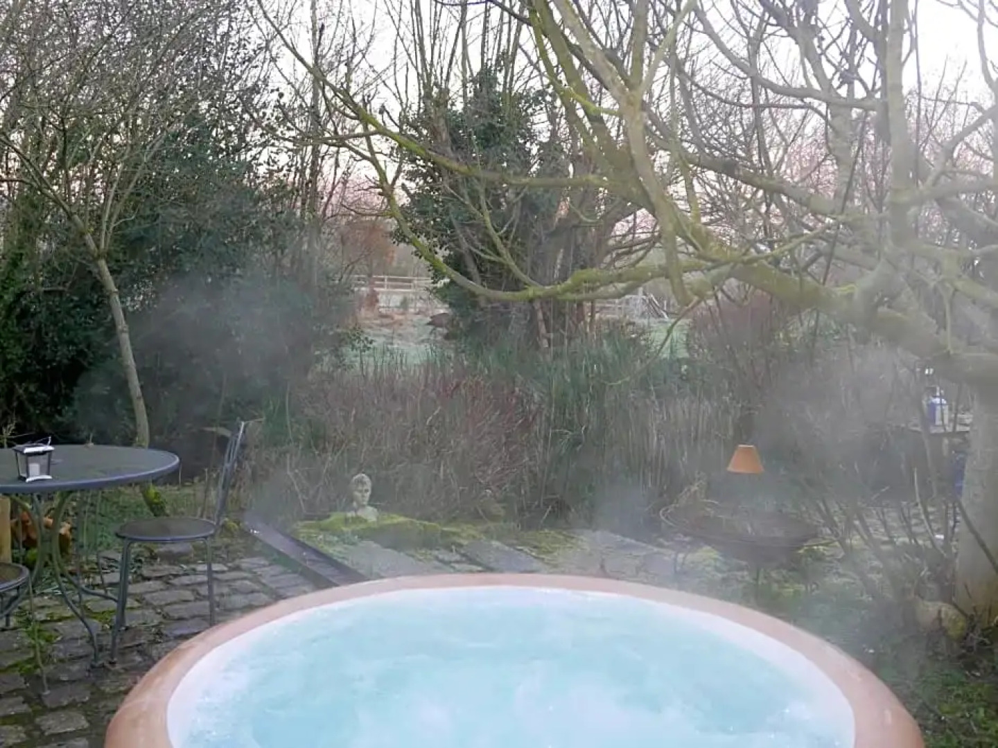 Les Insolites de Coco