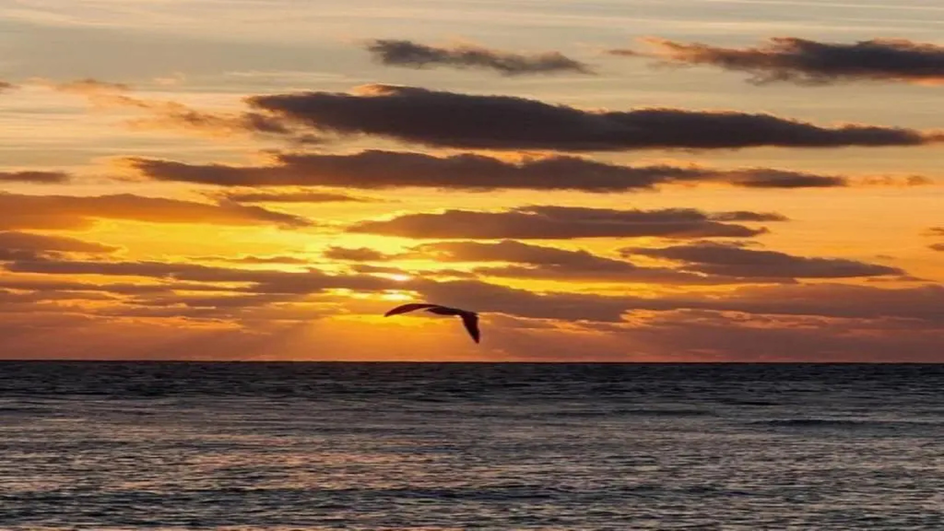 Deerfield-Private Resort Style Home Mins To The Beach