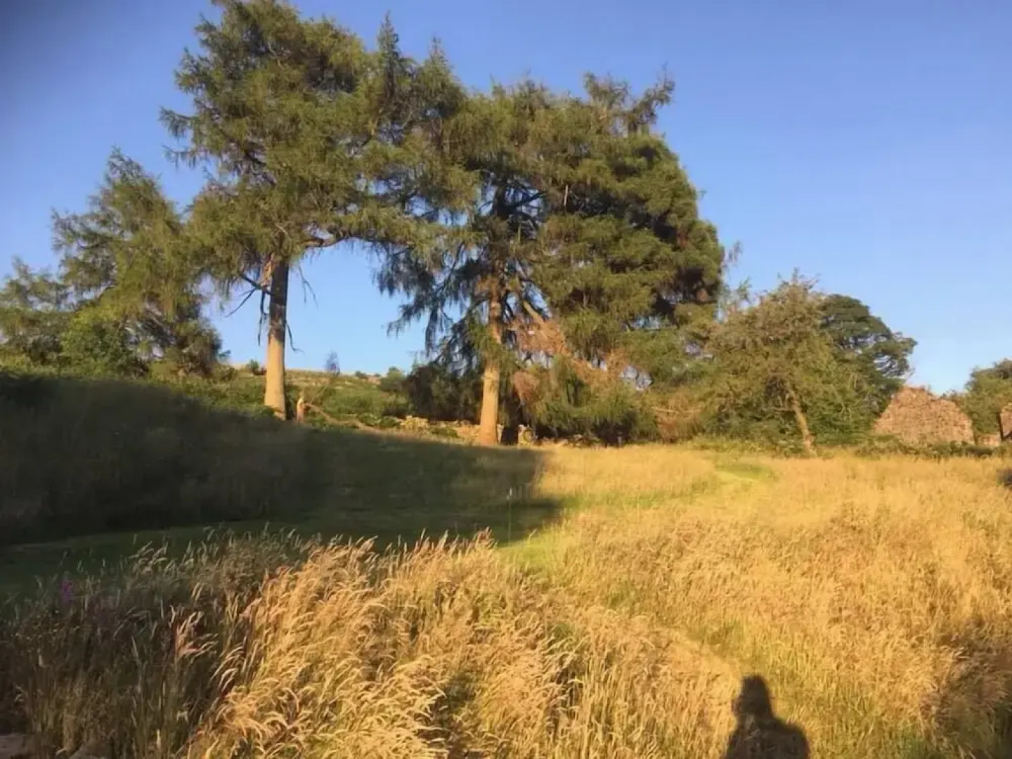 Sleeping Giant Bunkhouse