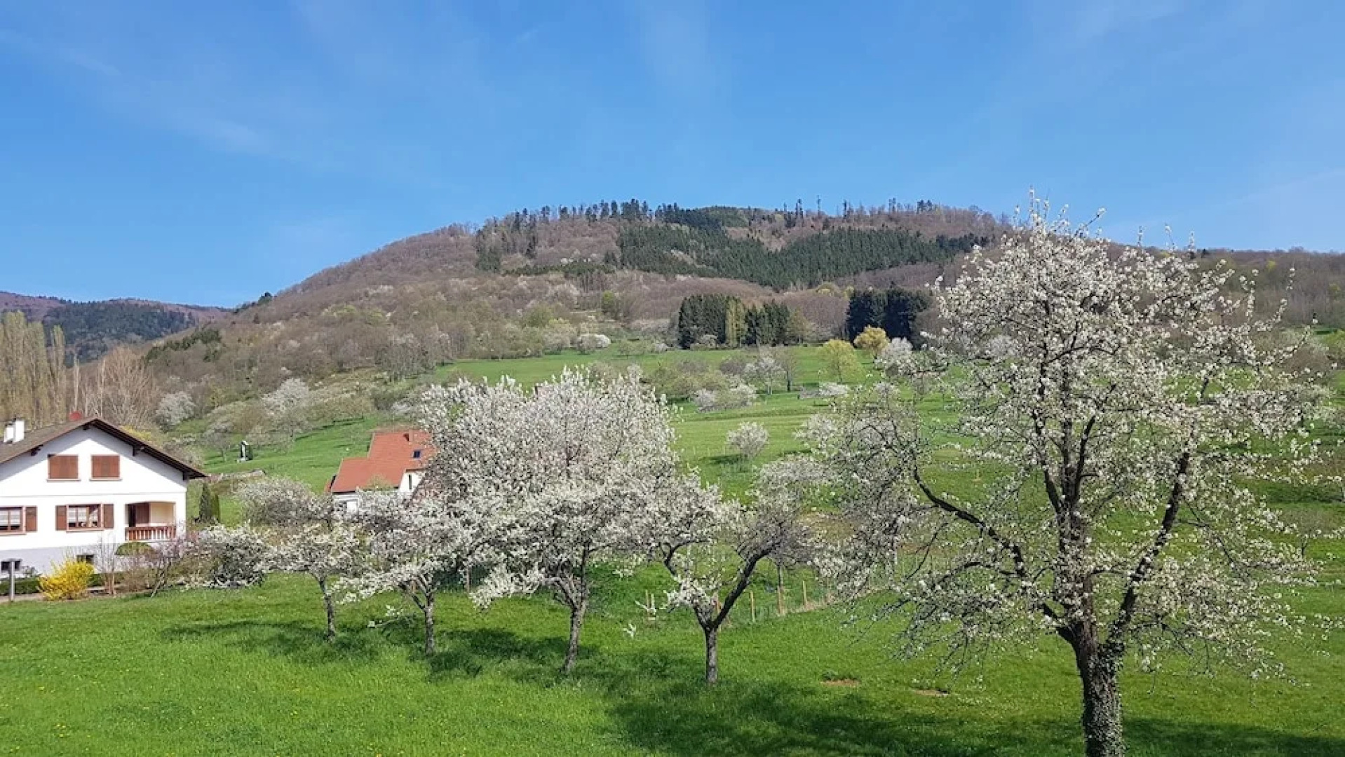 Le Breit Maison De Charme Avec Sa Dependance