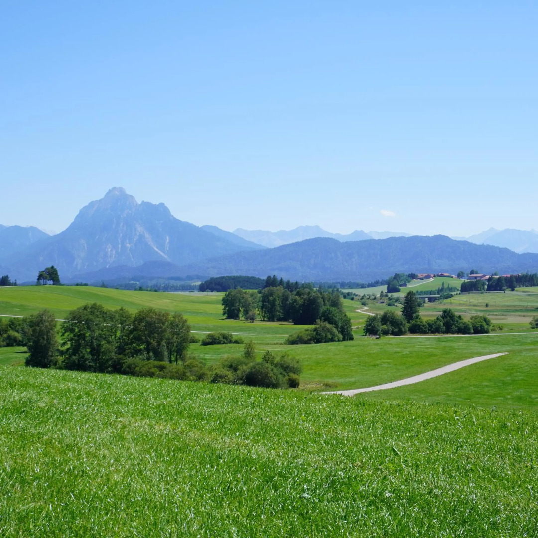 Ferienwohnung Linder