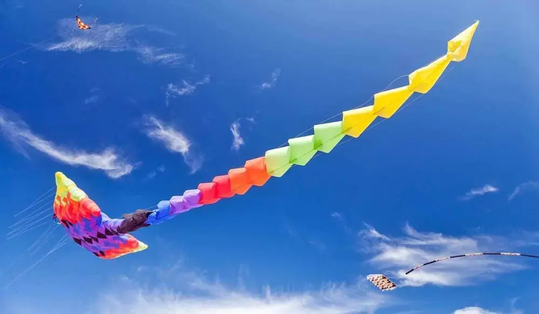 Holiday Homes Close to the Seaside Beach