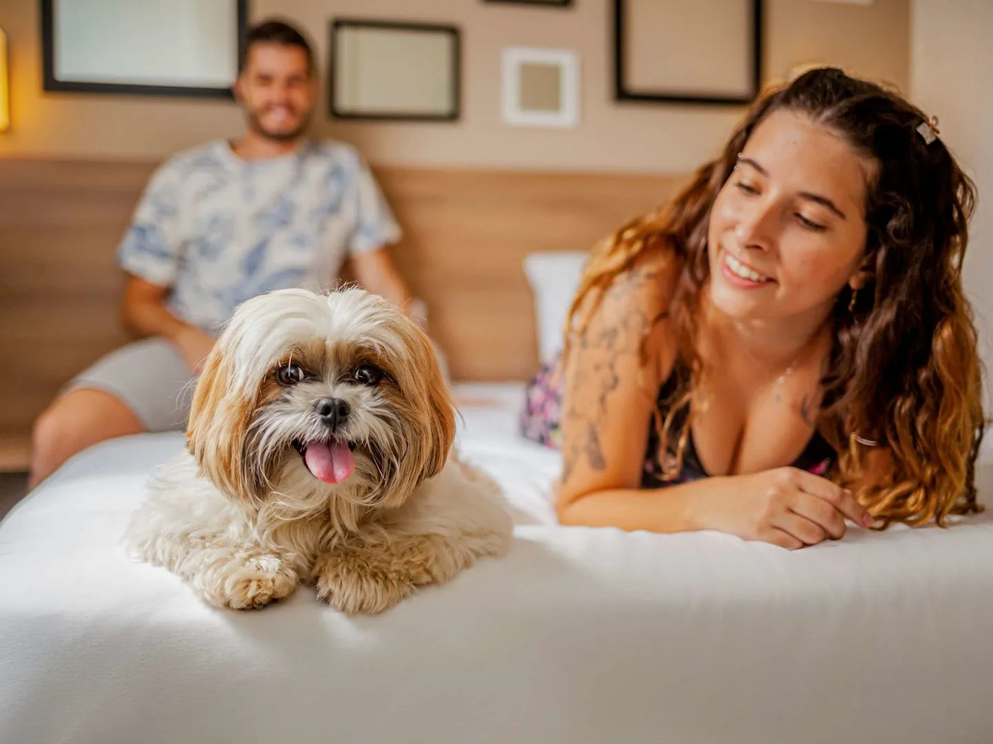 Golden Tower Express Braz Olaia by Fênix Hotéis