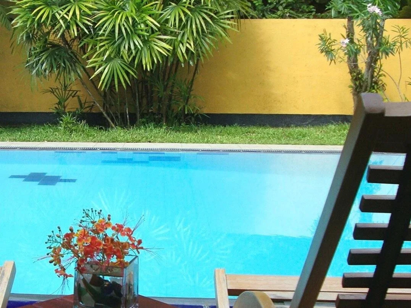 Black Beauty Guesthouse