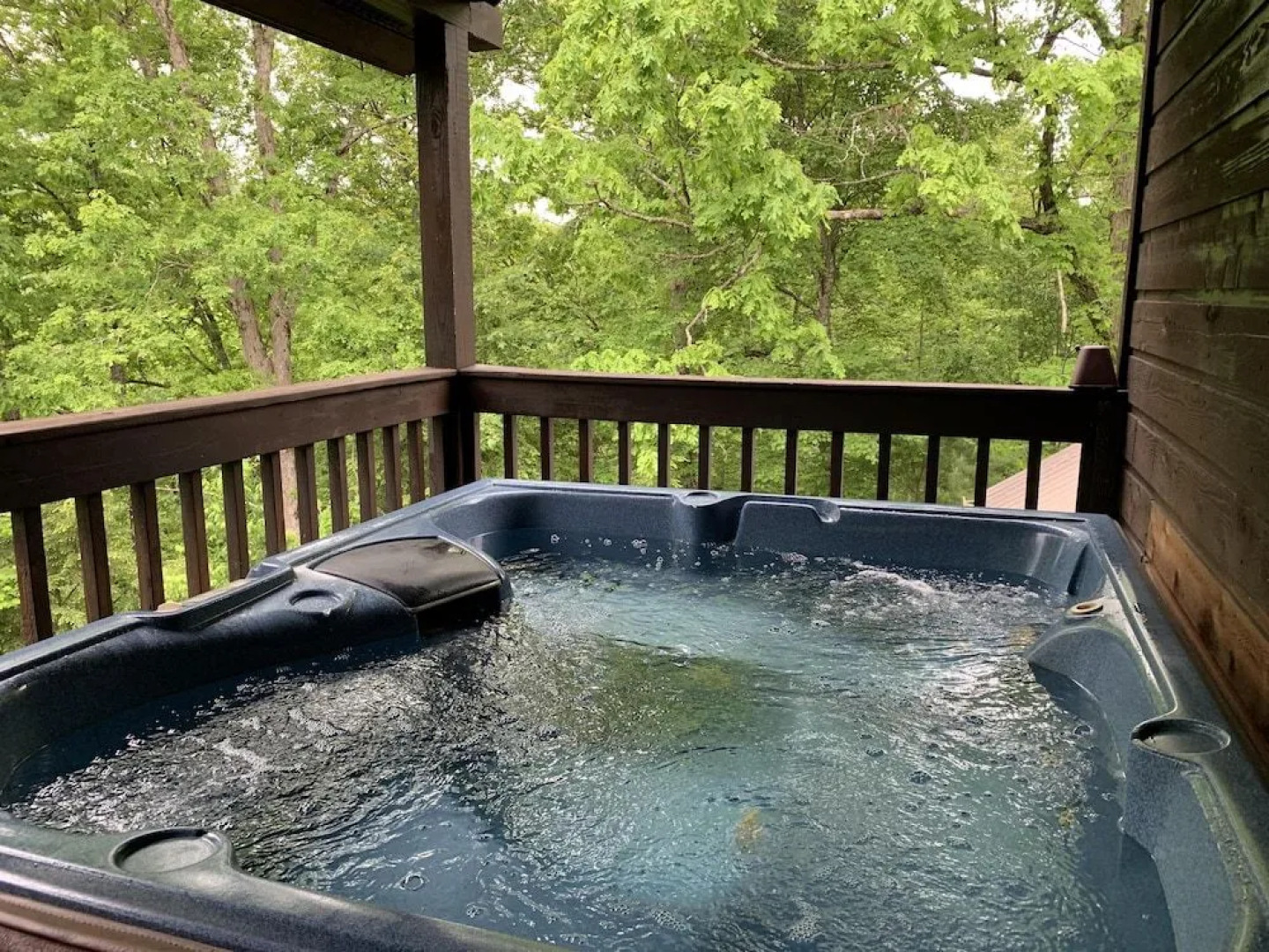 Bearly Visible - 2 Br Cabin