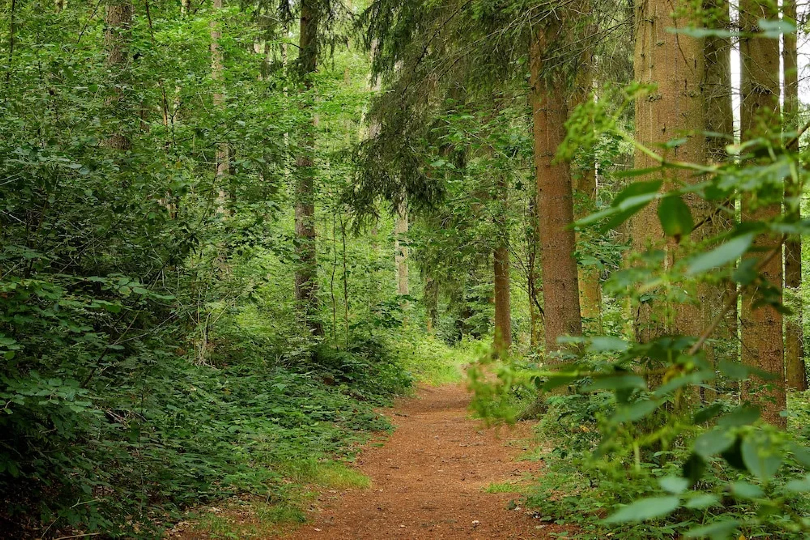 Waldhotel Tannmuehle