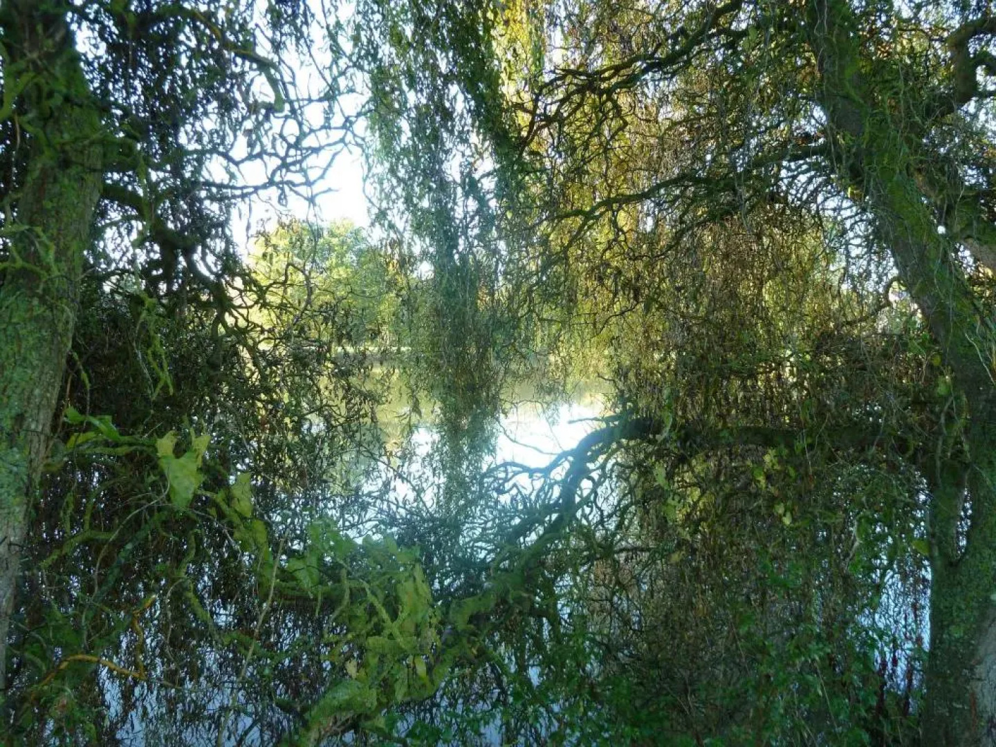 LAtelier du Presbytère