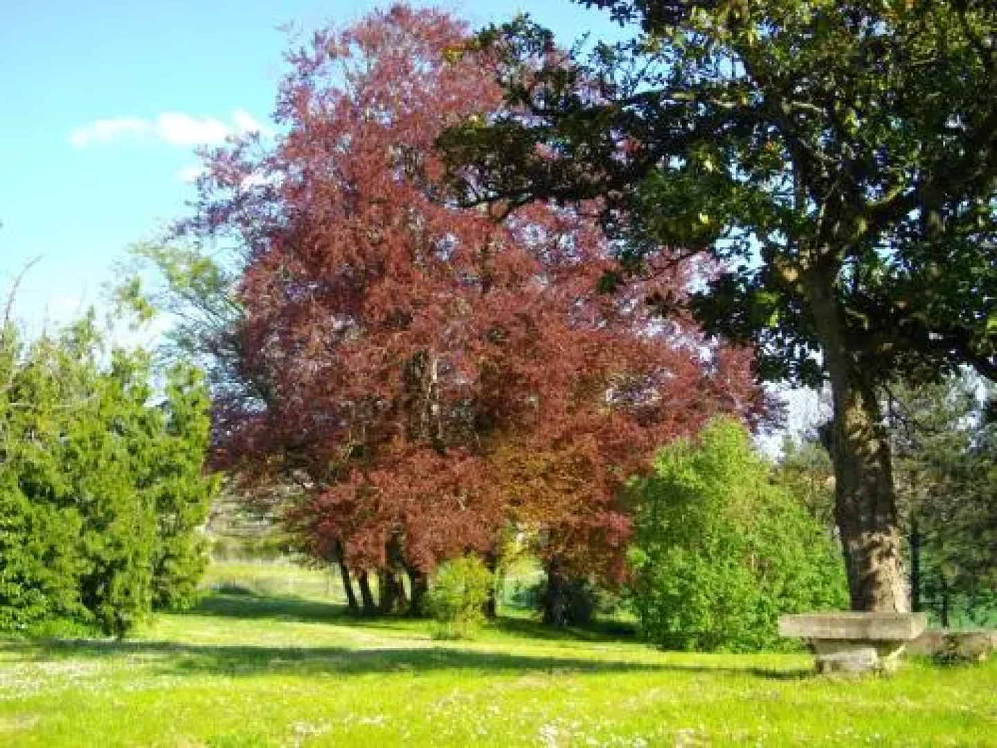 Vivre Nature au Château