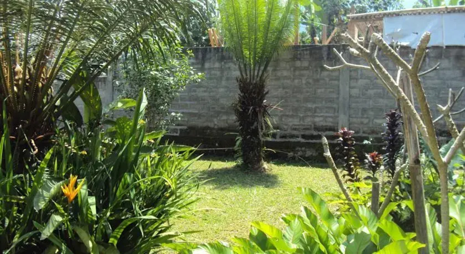 WAA Angsri Jatiluwih