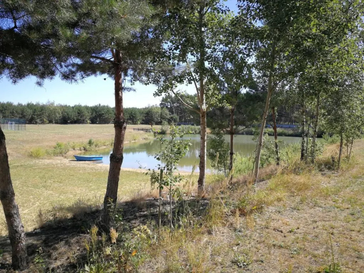 Wypoczynek Nad Stawem